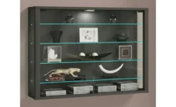 Hängevitrine Vitrosa