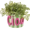 HOME STORY Übertopft Ciao