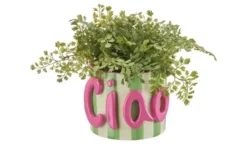 HOME STORY Übertopft Ciao