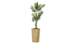 HOME STORY Blumentopf hoch