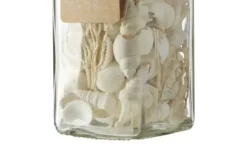 HOME STORY Muschelmix im Glas
