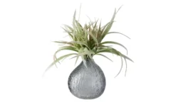 HOME STORY Vase