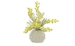 HOME STORY Vase Seeigel
