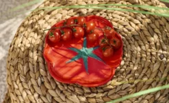 HOME STORY Teller Tomate