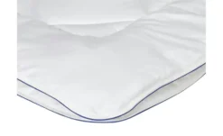 IRISETTE 4-Jahreszeiten-Steppbett Irisette Waschwolle