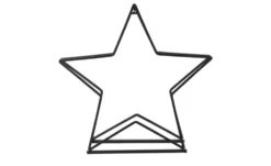 Kaminholzregal Stern