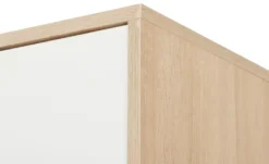 Kleiderschrank mit Spiegeltüren Smallridge