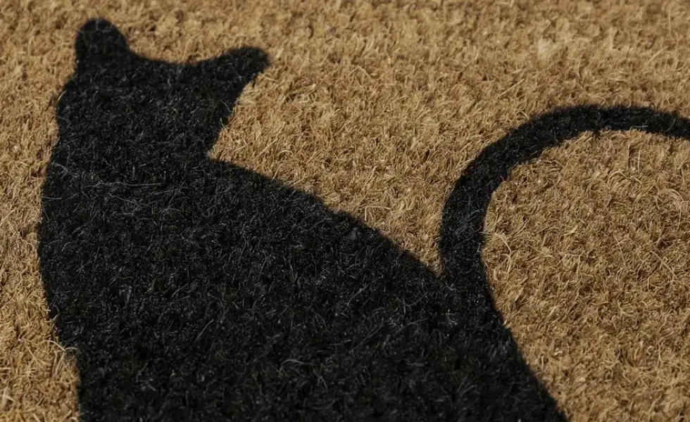 Kokosmatte Katzen