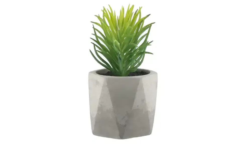 Kunstblume Sukkulente