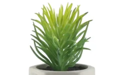 Kunstblume Sukkulente