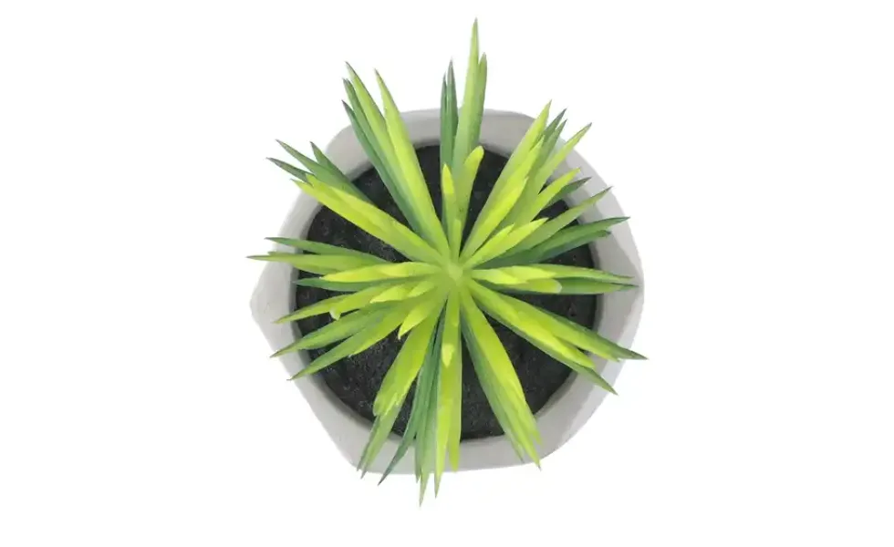 Kunstblume Sukkulente