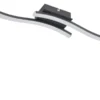 LED-Deckenleuchte, 2-flammig, schwarz