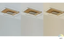 LED-Deckenleuchte, 2-flammig, Eiche natur ´groß´