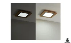 LED-Paneel