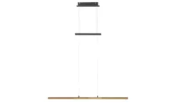 LED-Pendelleuchte