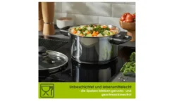 levelone Kochtopf 20 cm Classic