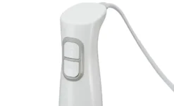 levelone Stabmixer STM-301W