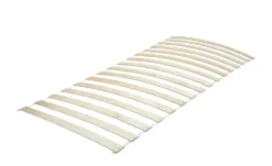 Lifetime Rollrost Standard
