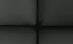 Max Schelling Ledersofa mit Kufengestell Maximum