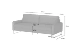 Max Schelling Ledersofa mit Kufengestell Maximum