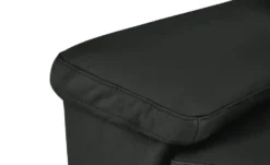 Max Schelling Ledersofa mit Kufengestell Maximum