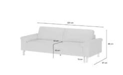 Max Schelling Ledersofa mit Kufengestell Maximum