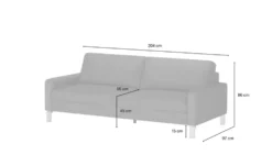 Max Schelling Ledersofa mit Winkelfüßen Maximum
