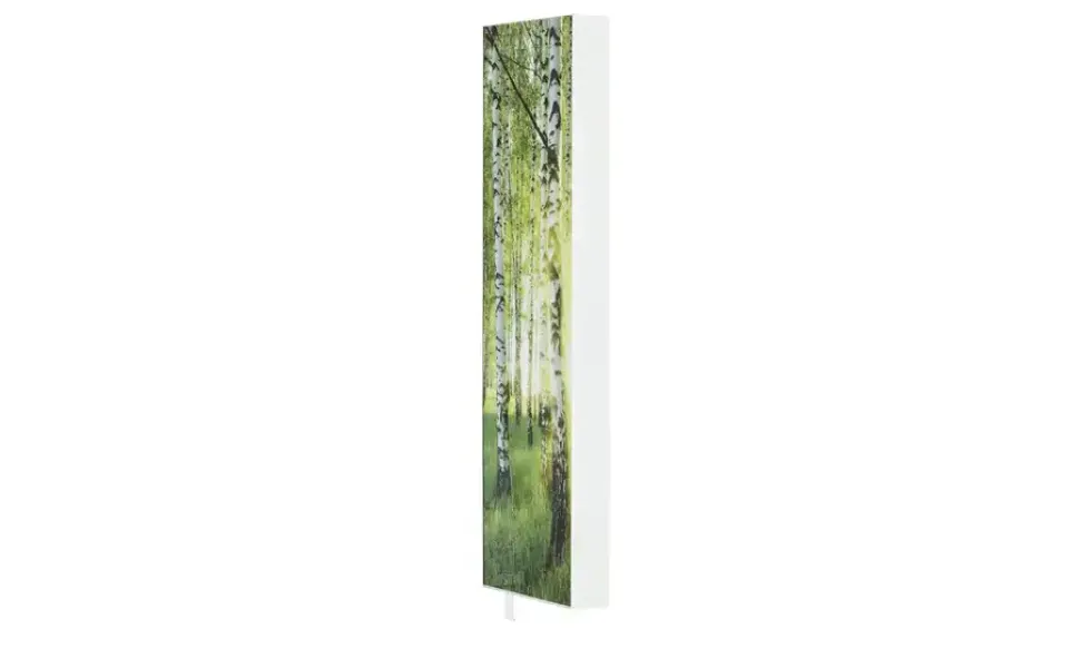 Mehrzweckschrank Pictura