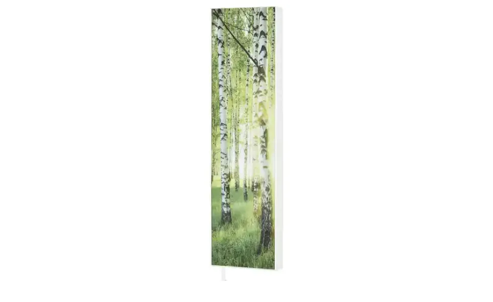 Mehrzweckschrank Pictura