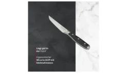 Meisterkoch Steakmesser 11,5 cm PRIMUS