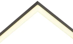 Meisterleuchten LED-Deckenleuchte 2-flammig, schwarz mit Fernbedienung