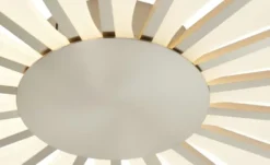 Meisterleuchten LED-Deckenleuchte, ´Sonne´ Nickel matt