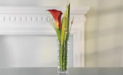 Nachtmann Vase Bossa Nova