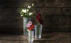 Nachtmann Vase Bossa Nova