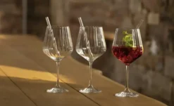Nachtmann Gin & Tonic Gläser mit Glastrinkhalmen 4er Set Tastes Good