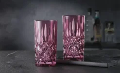 Nachtmann Longdrinkgläser 2er Set Noblesse