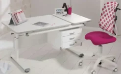 PAIDI Buchstütze Zubehör Schoolworld