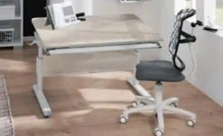 PAIDI Buchstütze Zubehör Schoolworld