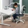 PAIDI Butler Zubehör Schoolworld