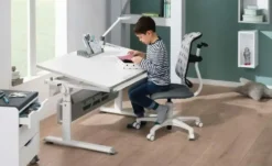 PAIDI Butler Zubehör Schoolworld