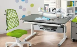 PAIDI Funktionsboard zum Schreibtisch Zubehör Schoolworld