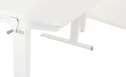 PAIDI Schreibtisch Teenio GT
