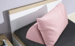 PAIDI Jugendbett Oscar