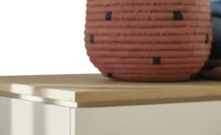 PAIDI Kleiderschrank Stiene