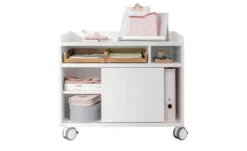 PAIDI Rollcaddy e-lion 1