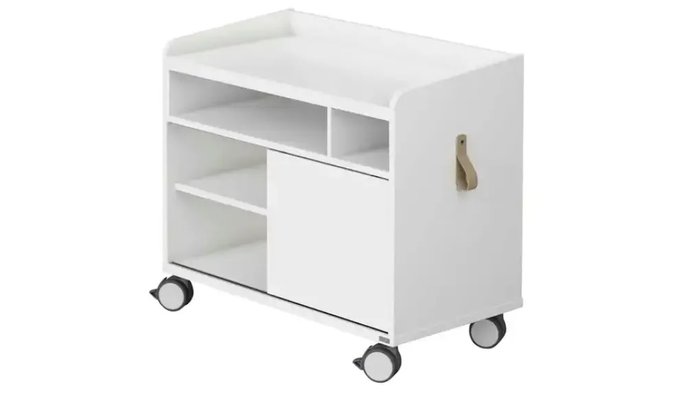 PAIDI Rollcaddy e-lion 1