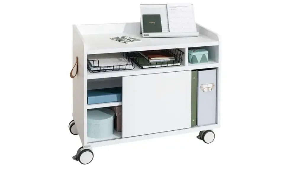 PAIDI Rollcaddy e-lion 1