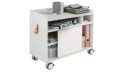 PAIDI Rollcaddy e-lion 1