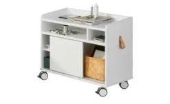 PAIDI Rollcaddy e-lion 1