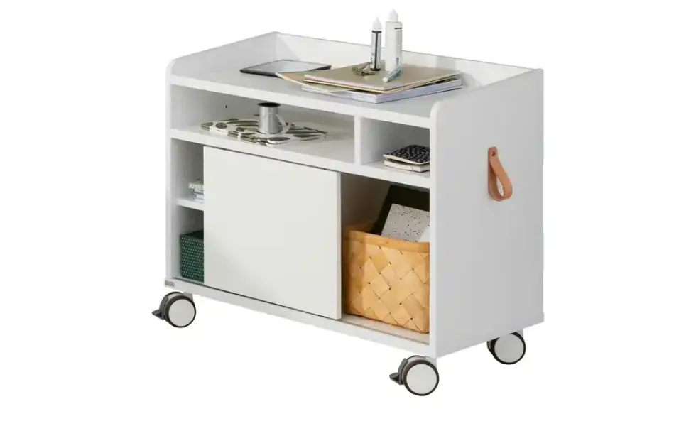 PAIDI Rollcaddy e-lion 1